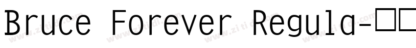 Bruce Forever Regula字体转换